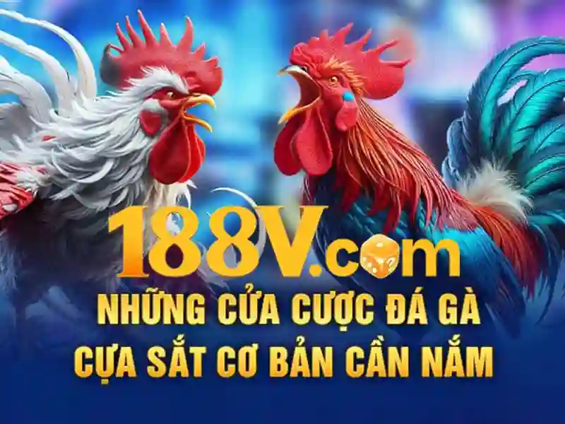 Kết luận và tưởng tượng về 188v