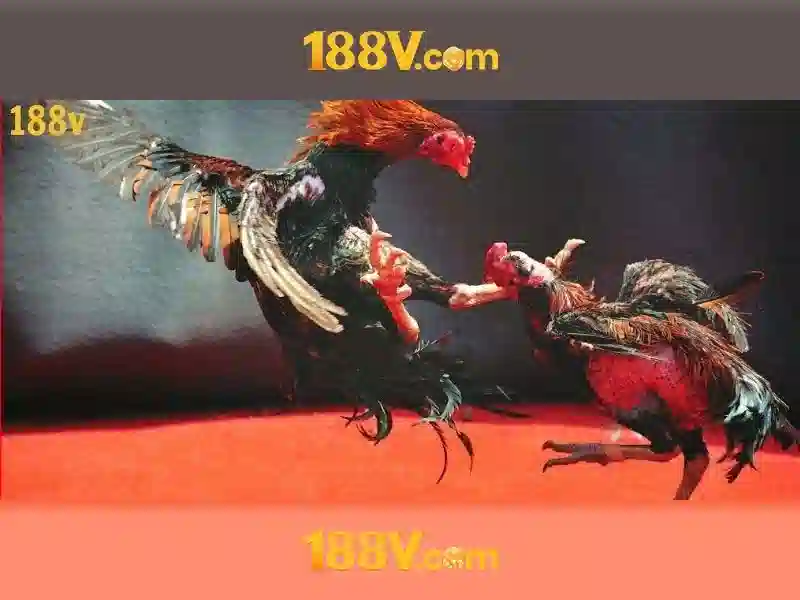 app 188v – Khám phá nền tảng đột phá và trải nghiệm mượt mà Go88