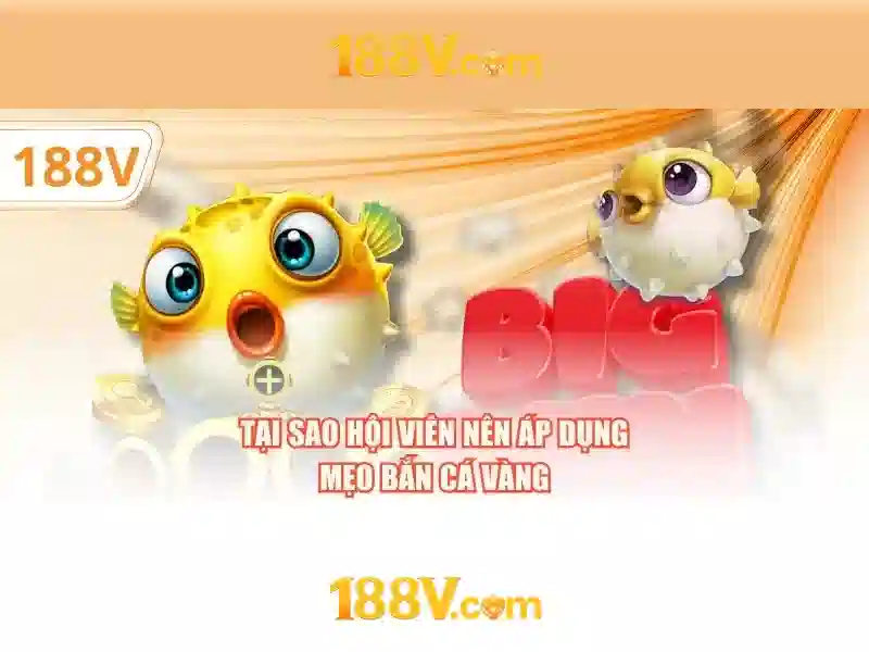 Ý nghĩa và cơ sở công nghệ