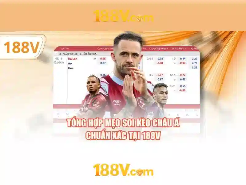 Trải nghiệm người dùng và phản hồi