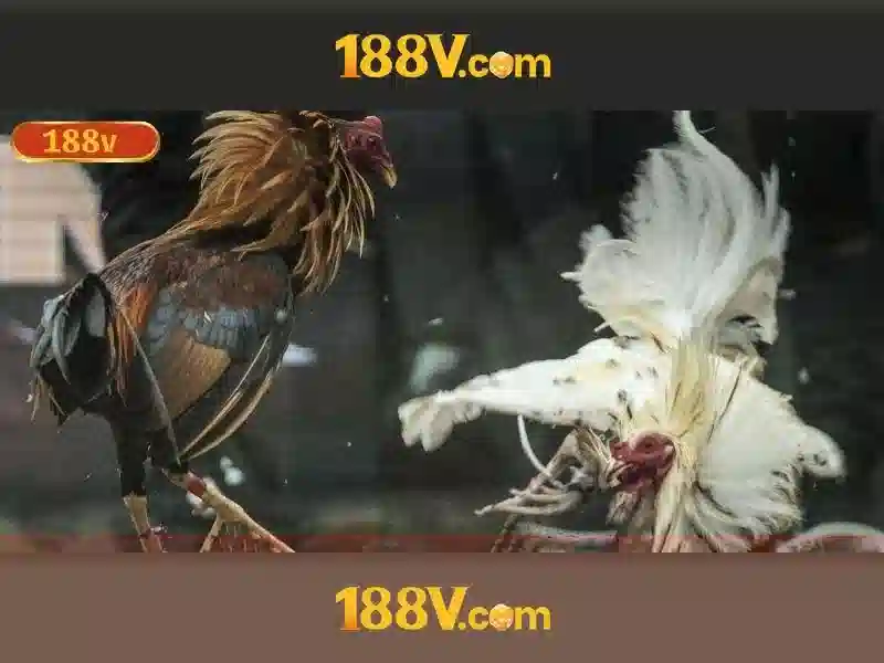 Tương lai của 188V
