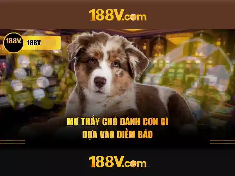 188v là gì? 188v là gì?