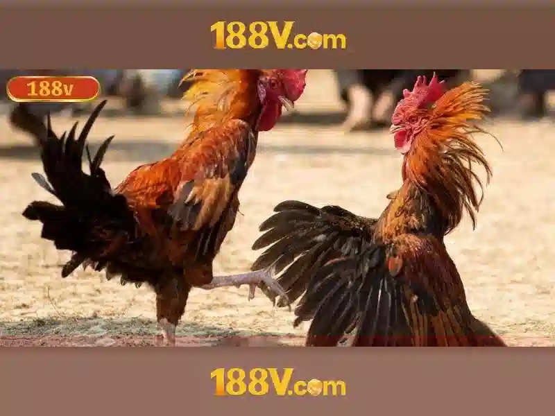 Phát triển hướng tới tương lai và tầm nhìn