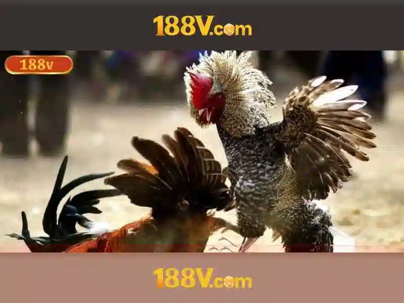 Giới thiệu về 188v\n Giới thiệu về 188v\n