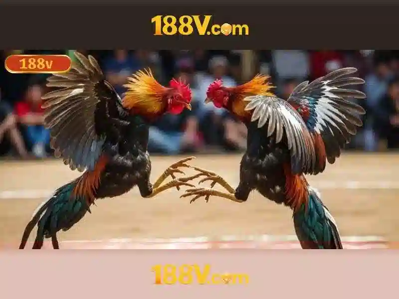 Nguồn gốc và sứ mệnh của 188v vip Nguồn gốc và sứ mệnh của 188v vip