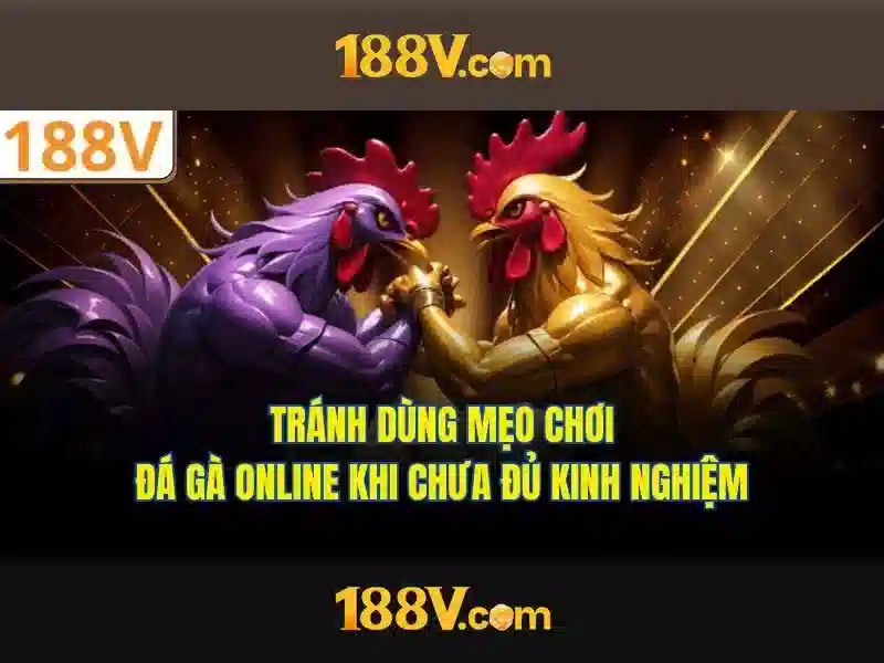 <!--IMG_PLACEHOLDER alt>Sản phẩm và dịch vụ cot loi ung dung cua 188v tai--> <!--IMG_PLACEHOLDER alt>Sản phẩm và dịch vụ cot loi ung dung cua 188v tai-->