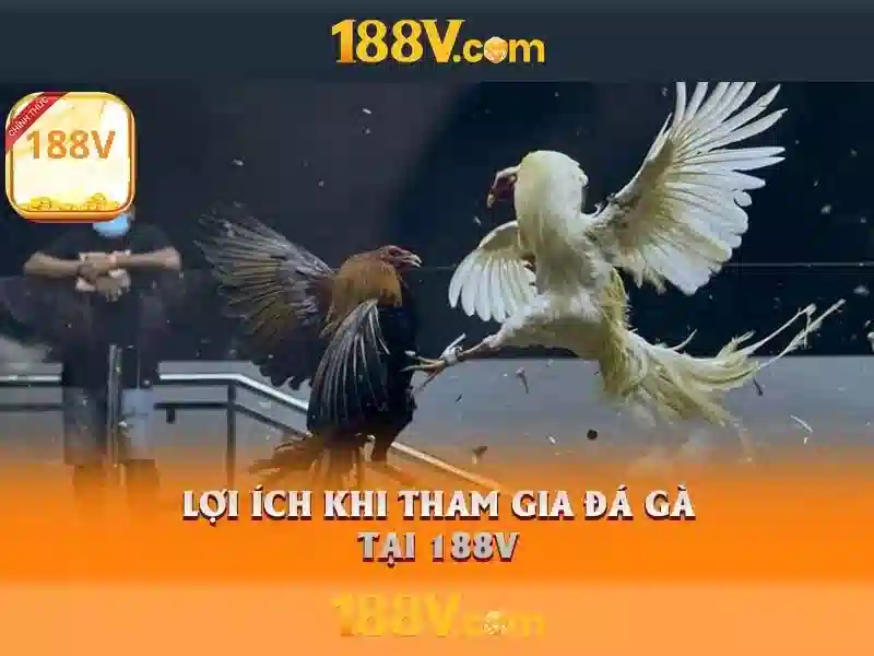 188v vom – Dẫn đầu công nghệ và trải nghiệm người dùng 1 Đăng Nhập