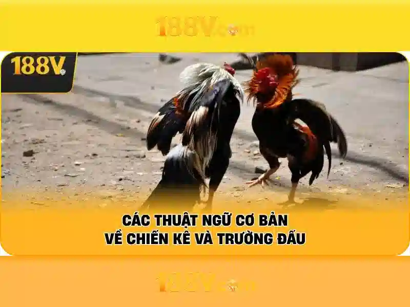 So sánh với các phiên bản trước So sánh với các phiên bản trước