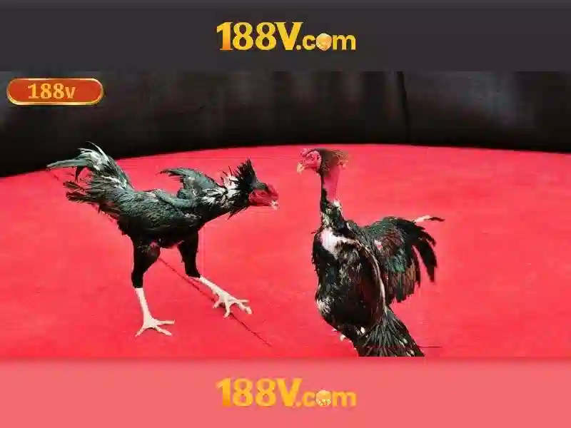 Khám phá 188v: khái niệm công nghệ và trải nghiệm thị giác Go88