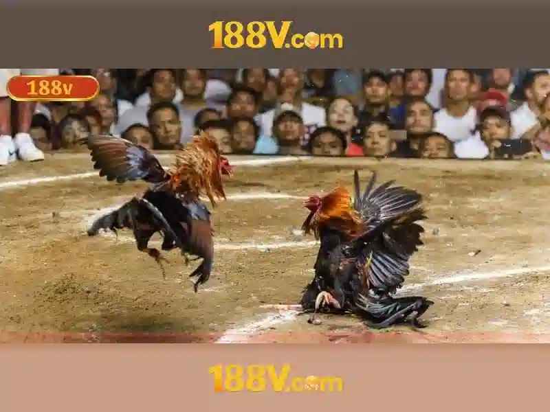 đánh giá 188v – Tổng quan chủ đề và giá trị cốt lõi