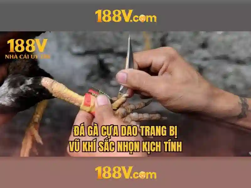 Cấu trúc và nguồn gốc của 188v Cấu trúc và nguồn gốc của 188v