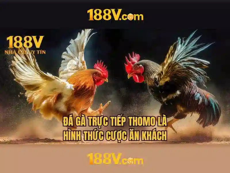 188v và hành trình khám phá 188v và hành trình khám phá