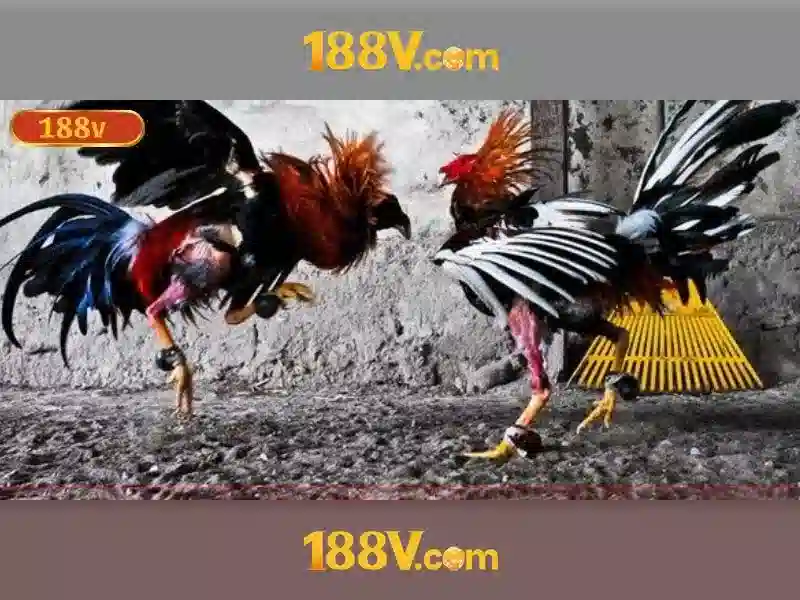 Kham pha 188v: mot khai niem cong nghe va van hoa 1 Đăng Nhập