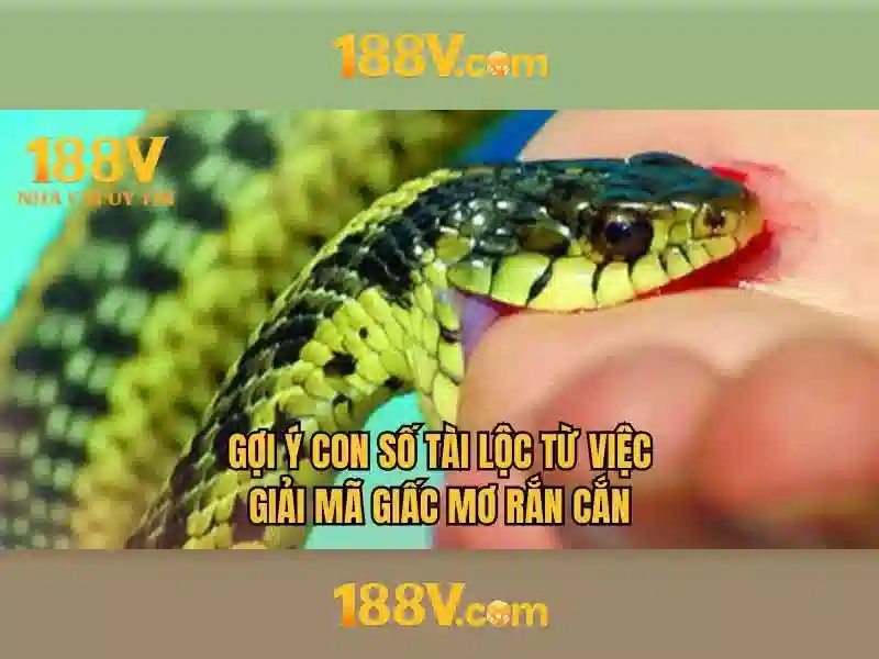 Các sản phẩm và dịch vụ liên quan đến slot 188v