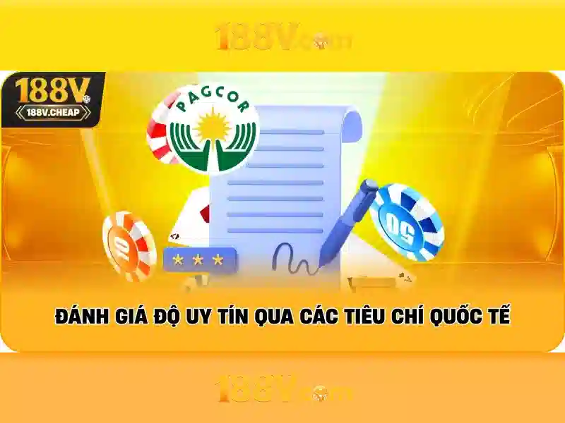 Trải nghiệm người dùng và phản hồi từ cộng đồng