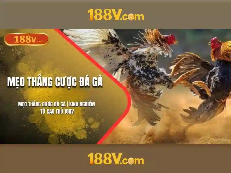 Khám phá 188v: một khái niệm cho thời đại số 1 Đăng Nhập
