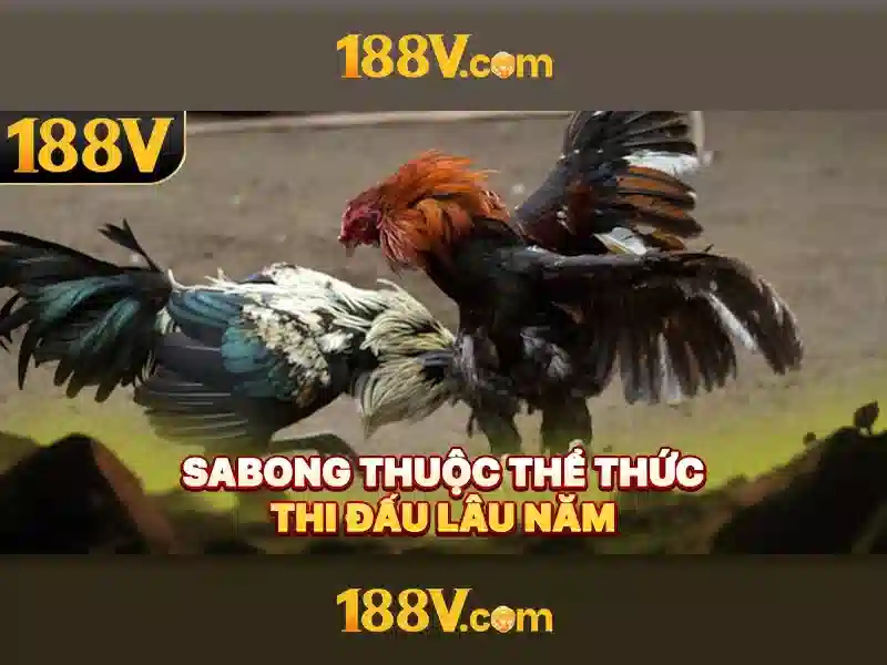 Cuộc sống và hoạt động Cuộc sống và hoạt động