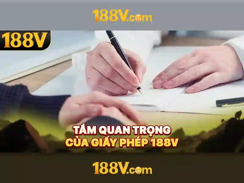 Trải nghiệm người dùng và phản hồi từ cộng đồng