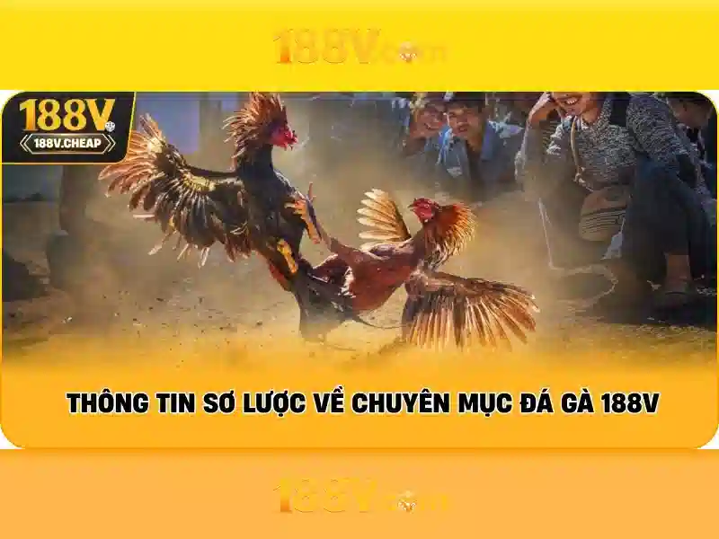 Khám phá 188v\n Khám phá 188v\n