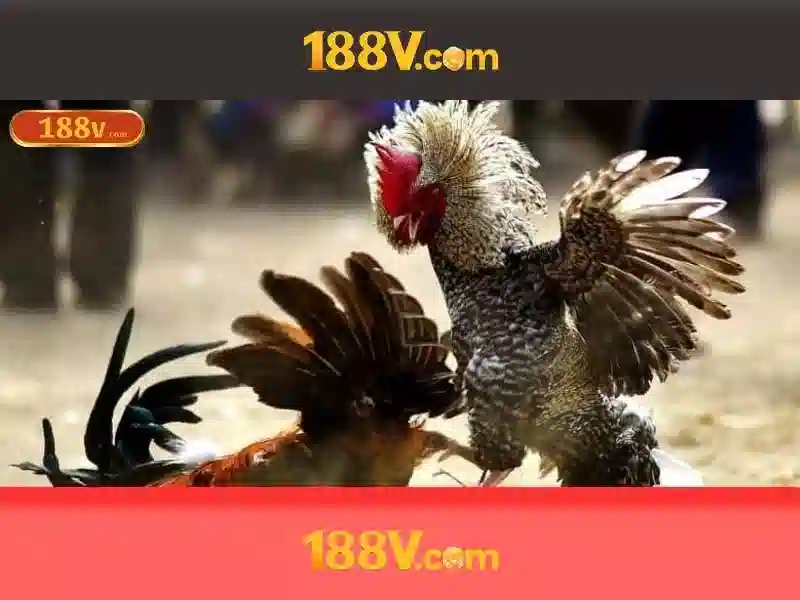 Giới thiệu về 188v: khái niệm sáng tạo trong nghệ thuật và công nghệ 1 Đăng Nhập