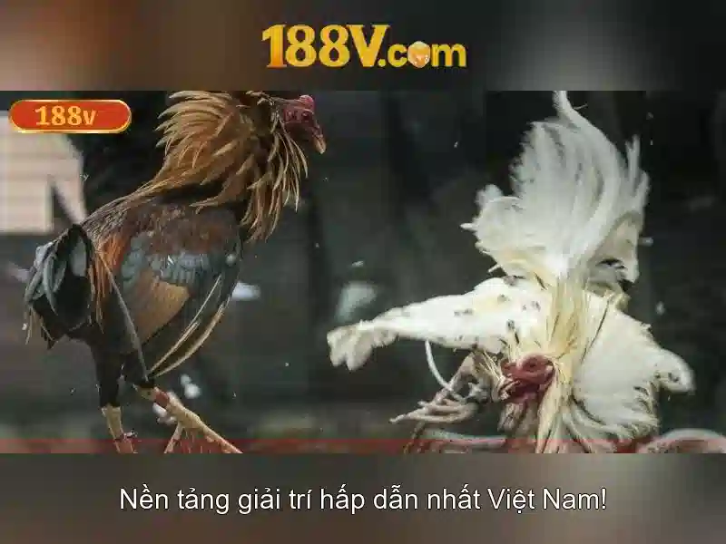 188v: Khám phá điện áp 188v và tiềm năng của nó 1 Đăng Nhập