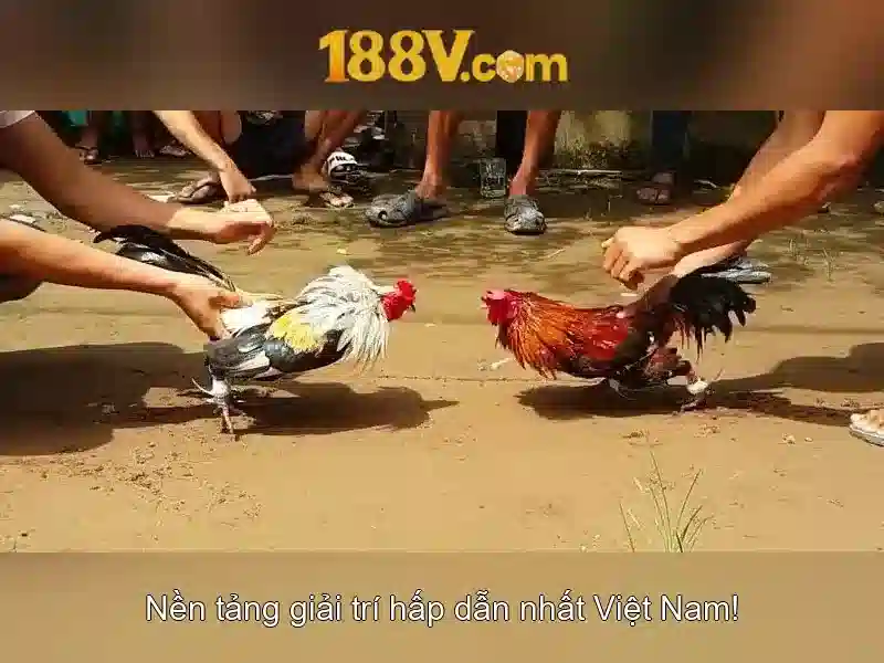 Tổng quan chủ đề và giá trị cốt lõi