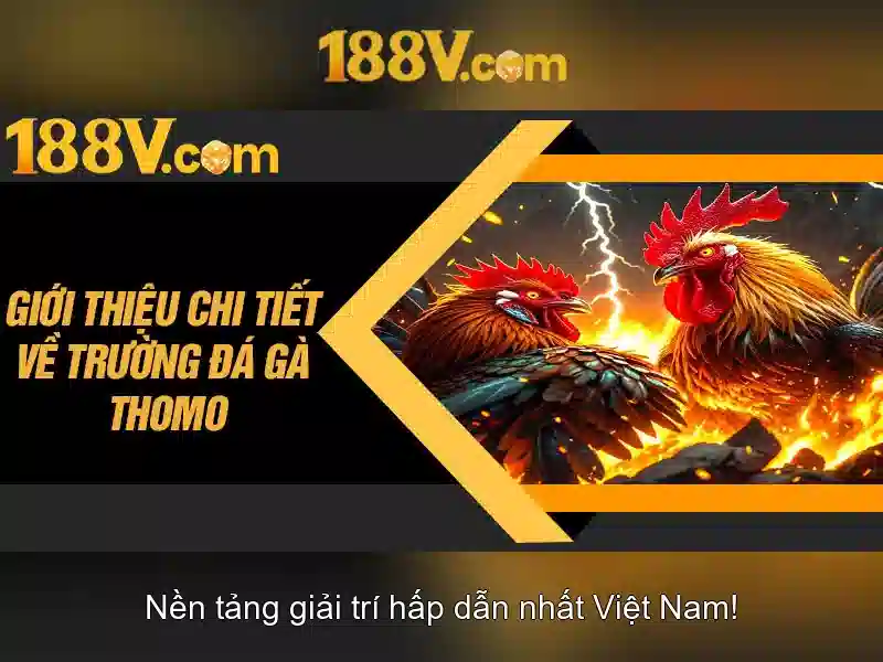 Khám phá 188v: một khái niệm và ứng dụng
