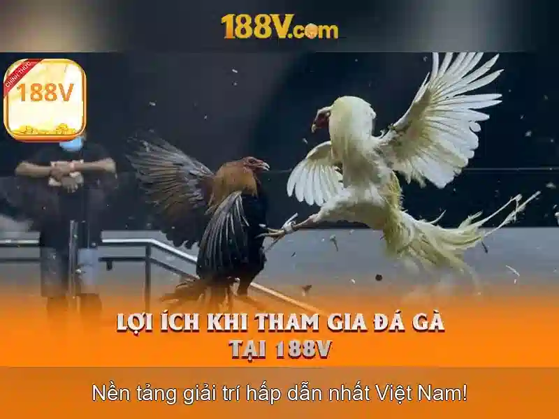 Các cách đo và kiểm tra
