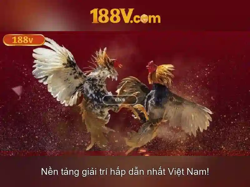 188v fan: nhãn nội dung cho cộng đồng cược thể thao 1 Đăng Nhập