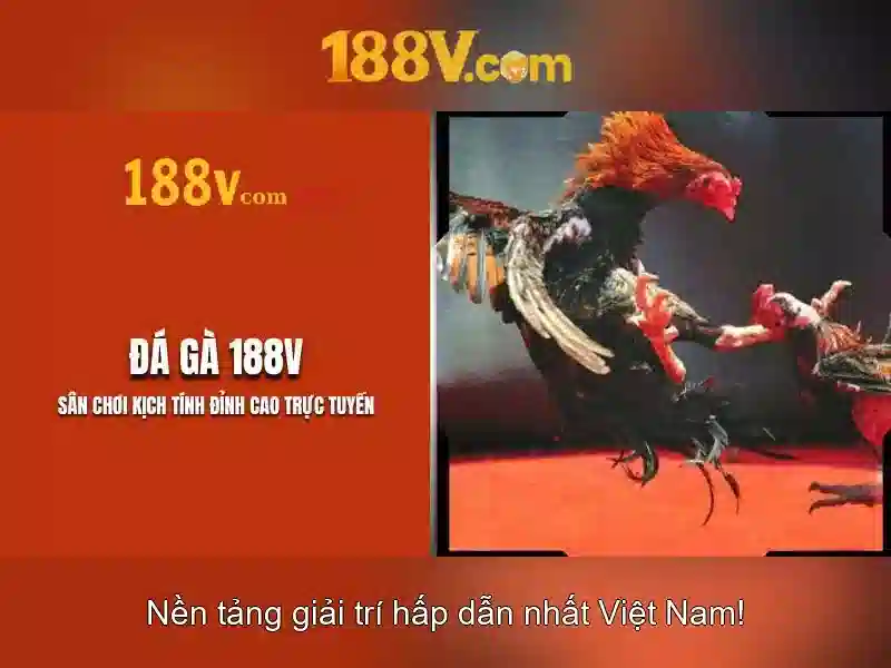 188v: hành trình khám phá một khái niệm mở cửa Go88