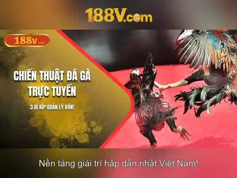 188V: Khái niệm, ứng dụng và an toàn điện áp Go88